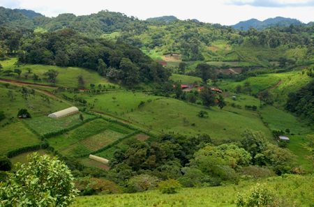 Finca bei Esteli, Nicaragua